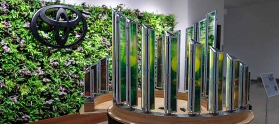 Image: Vivid Solar Project Brings A Vibrant Touch To Energy Harvesting
